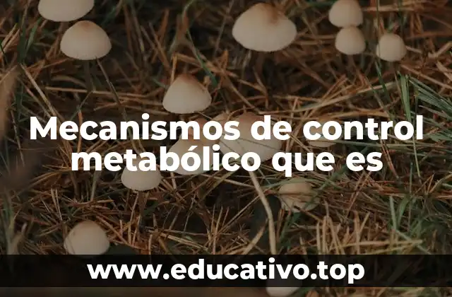Mecanismos de control metabólico que es