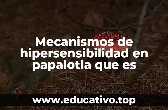 Mecanismos de hipersensibilidad en papalotla que es