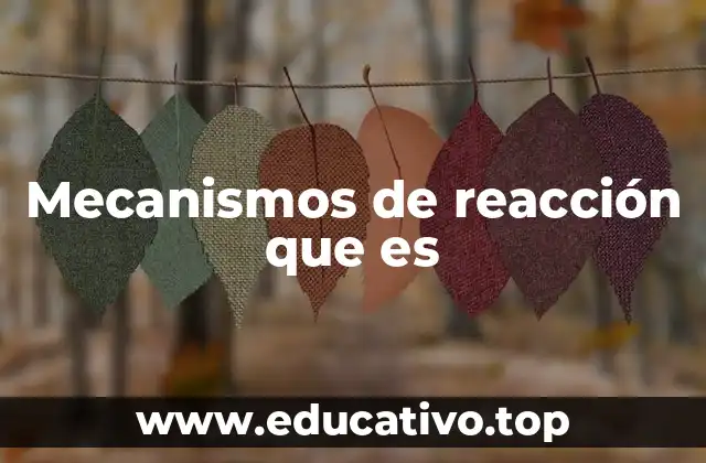 Mecanismos de reacción que es