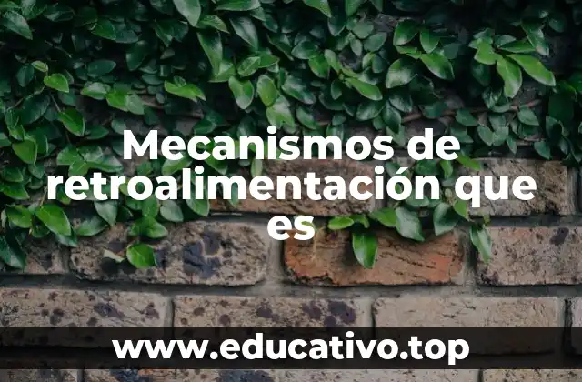 Mecanismos de retroalimentación que es