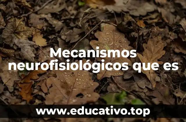 Mecanismos neurofisiológicos que es