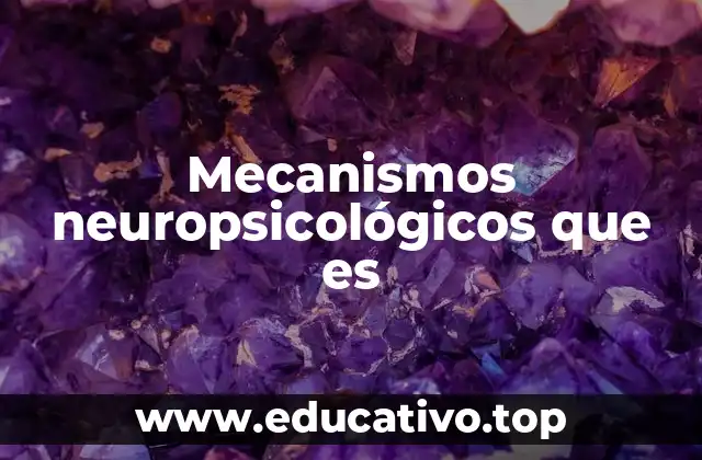 Mecanismos neuropsicológicos que es