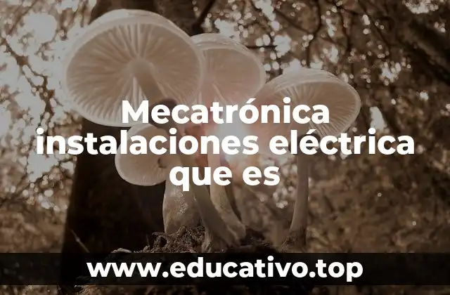 Mecatrónica instalaciones eléctrica que es