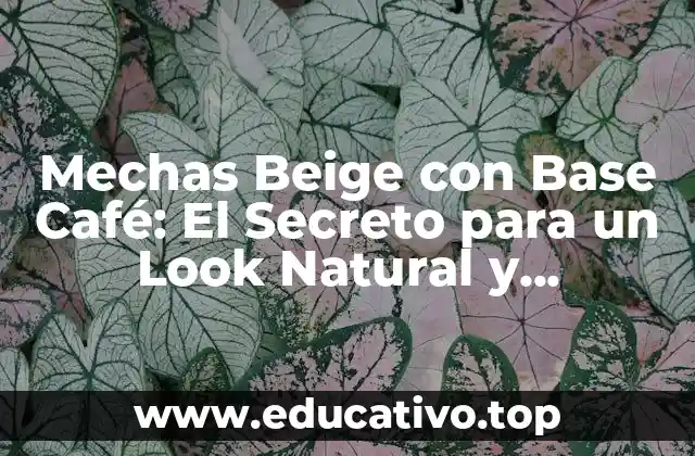 Mechas Beige con Base Café: El Secreto para un Look Natural y Sofisticado