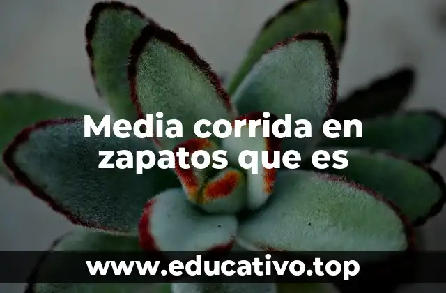 Cómo las medias corridas complementan el uso de zapatos formales