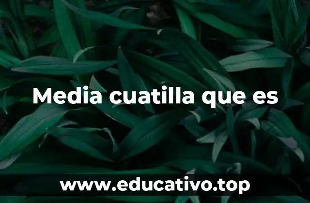 Media cuatilla que es
