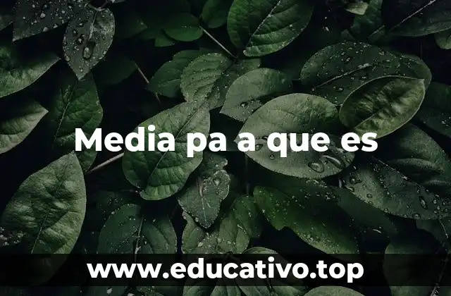 Media pa a que es