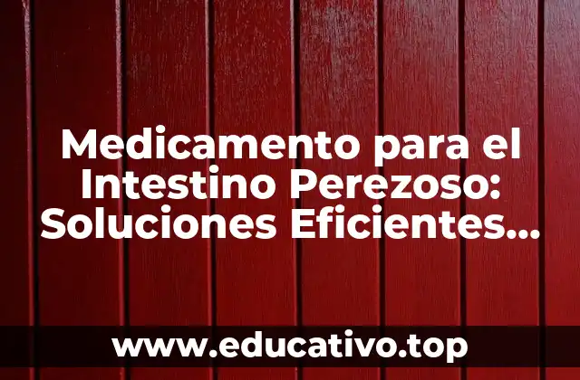 Medicamento para el Intestino Perezoso: Soluciones Eficientes para el Síndrome del Intestino Lento