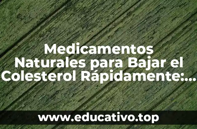 Medicamentos Naturales para Bajar el Colesterol Rápidamente: Alternativas Saludables
