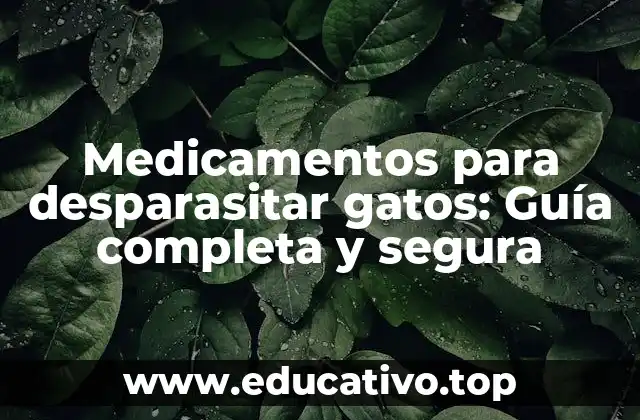 Medicamentos para desparasitar gatos: Guía completa y segura
