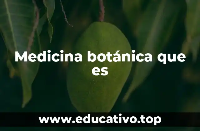 Medicina botánica que es