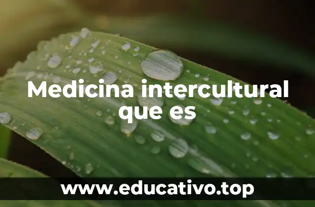 Medicina intercultural que es