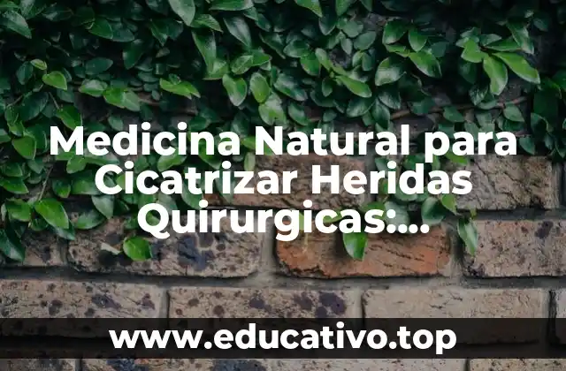 Medicina Natural para Cicatrizar Heridas Quirurgicas: Alternativas Efectivas