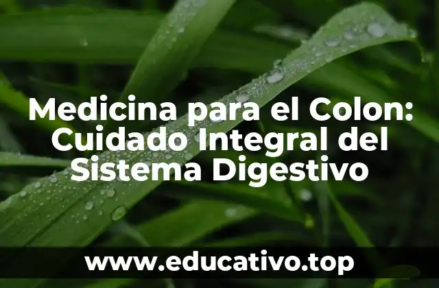 Medicina para el Colon: Cuidado Integral del Sistema Digestivo