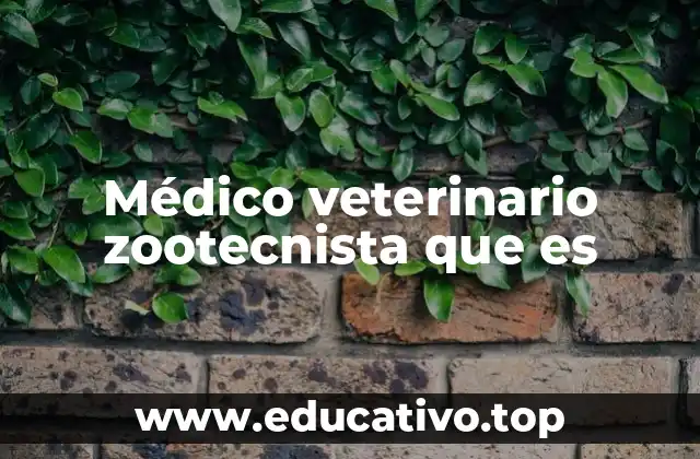 Médico veterinario zootecnista que es