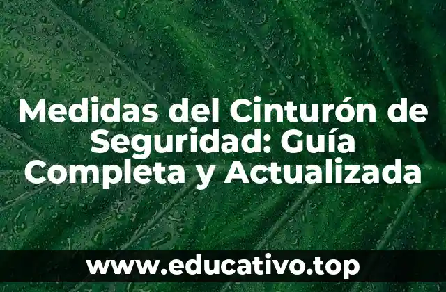 Medidas del Cinturón de Seguridad: Guía Completa y Actualizada