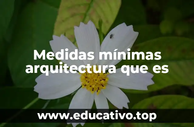Medidas mínimas arquitectura que es