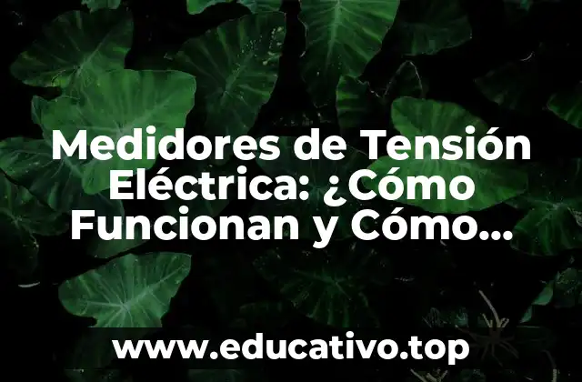Medidores de Tensión Eléctrica: ¿Cómo Funcionan y Cómo Elegir el Mejor?