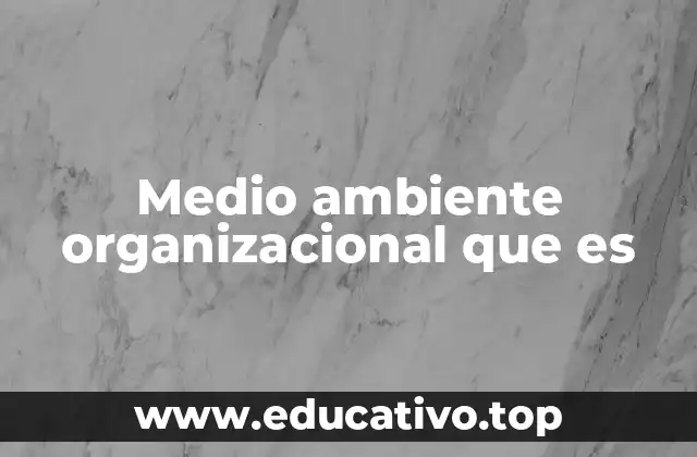 Medio ambiente organizacional que es