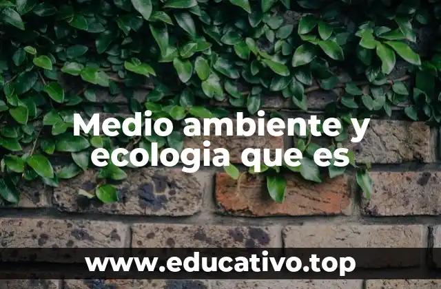 La relación entre los seres vivos y su entorno