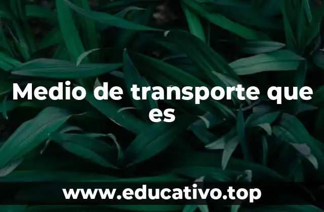 Medio de transporte que es