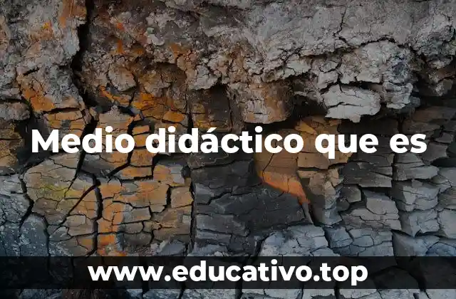 Medio didáctico que es