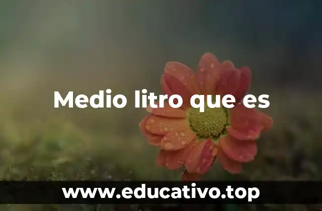 Medio litro que es