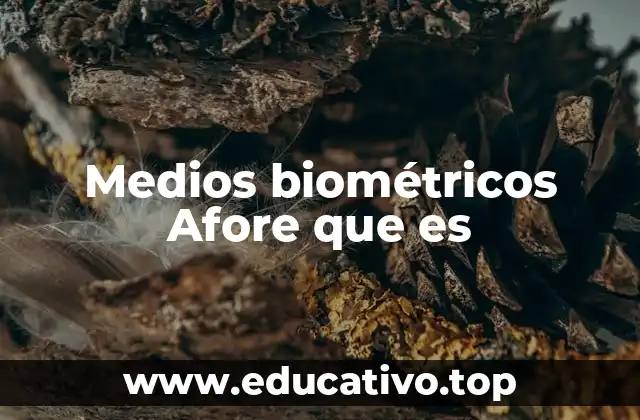 Medios biométricos Afore que es