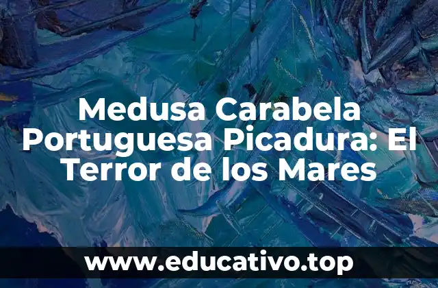 Medusa Carabela Portuguesa Picadura: El Terror de los Mares