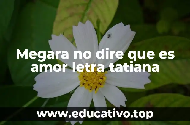 Megara no dire que es amor letra tatiana