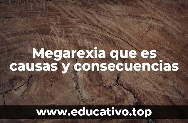 Megarexia que es causas y consecuencias