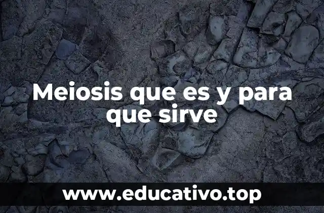 Meiosis que es y para que sirve