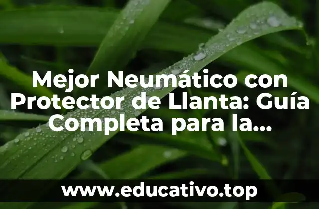 Mejor Neumático con Protector de Llanta: Guía Completa para la Seguridad en la Carretera