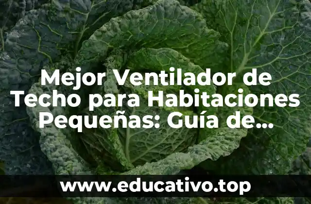 Mejor Ventilador de Techo para Habitaciones Pequeñas: Guía de Compra y Revisiones