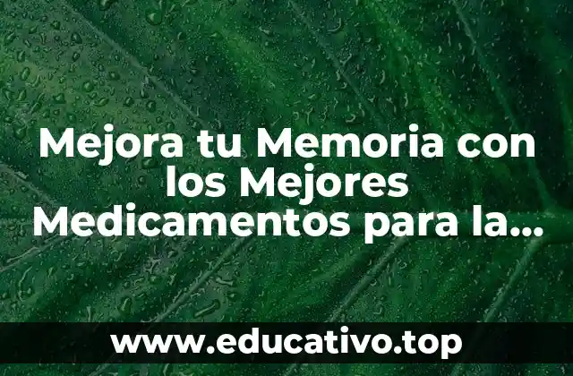 Mejora tu Memoria con los Mejores Medicamentos para la Retención de Memoria