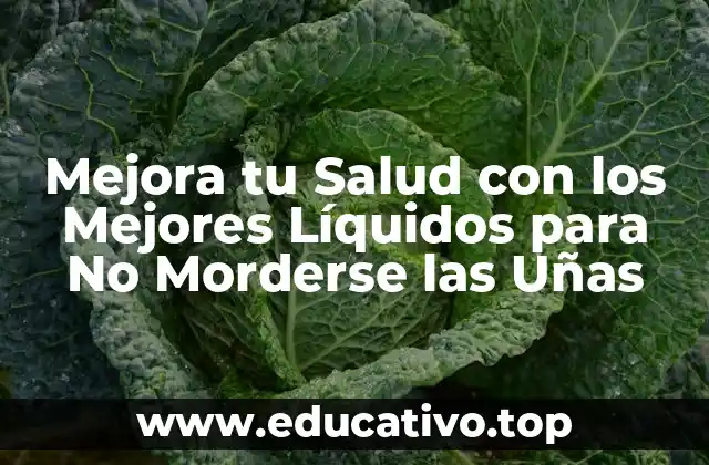 Mejora tu Salud con los Mejores Líquidos para No Morderse las Uñas