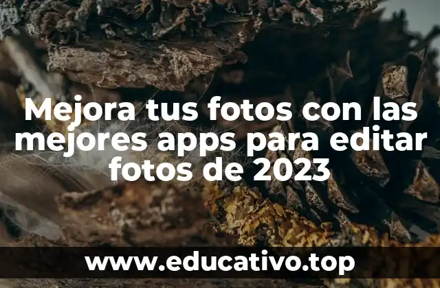 Mejora tus fotos con las mejores apps para editar fotos de 2023