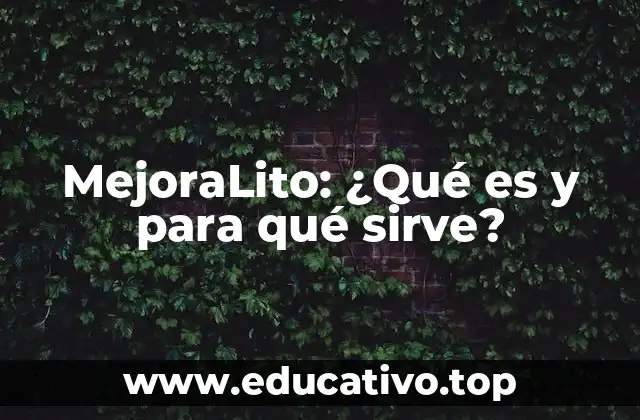 MejoraLito: ¿Qué es y para qué sirve?