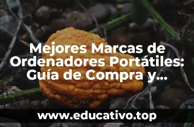 Mejores Marcas de Ordenadores Portátiles: Guía de Compra y Revisiones