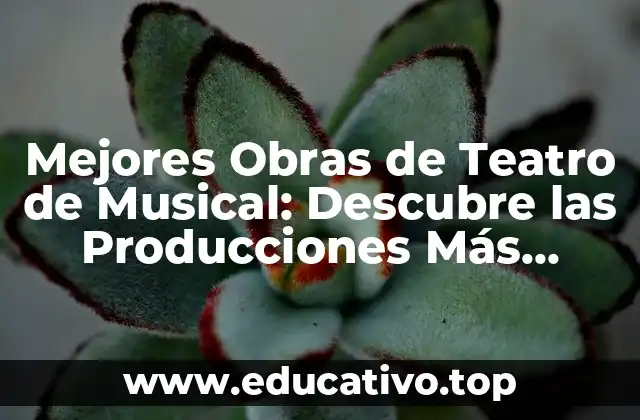 Mejores Obras de Teatro de Musical: Descubre las Producciones Más Éxitosas