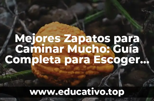 Mejores Zapatos para Caminar Mucho: Guía Completa para Escoger el Par Perfecto
