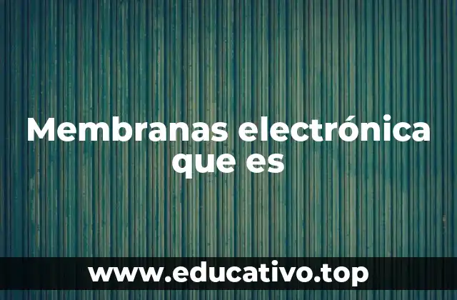 Cómo funcionan las membranas electrónicas sin mencionar directamente la palabra clave