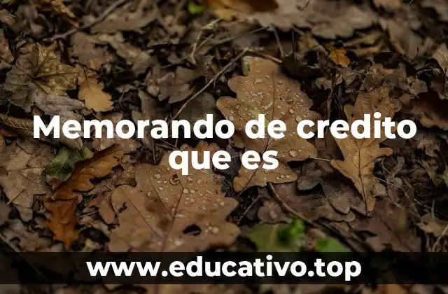 La importancia de los memorandos en decisiones financieras