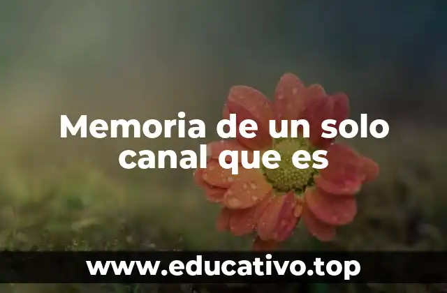 Memoria de un solo canal que es