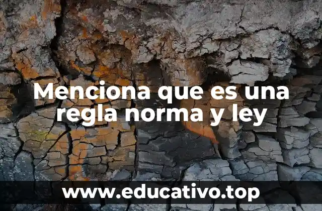 Menciona que es una regla norma y ley