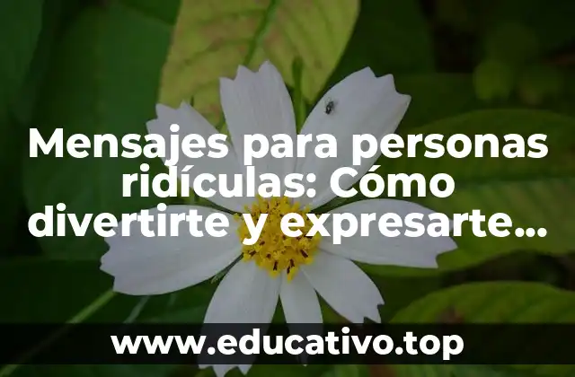 Mensajes para personas ridículas: Cómo divertirte y expresarte de manera original