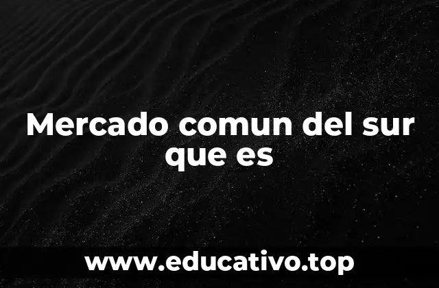 Mercado comun del sur que es