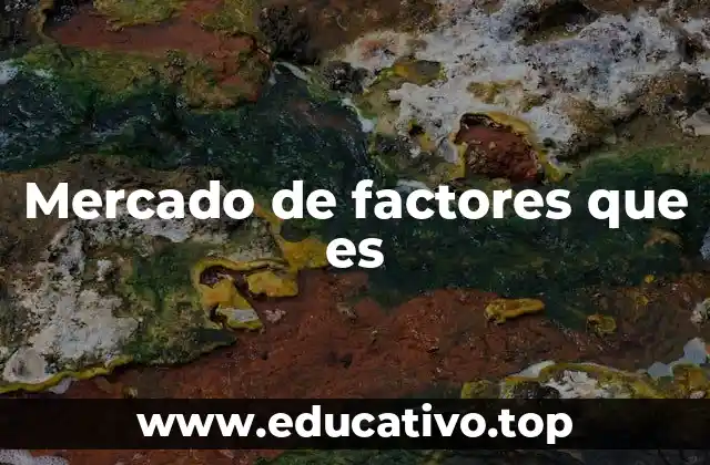 Mercado de factores que es