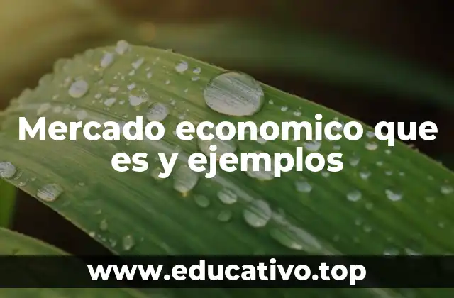 Mercado economico que es y ejemplos