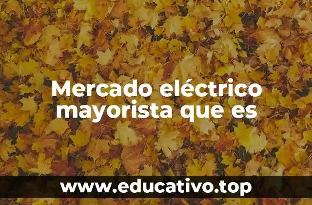 Mercado eléctrico mayorista que es